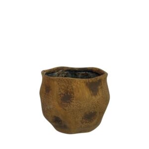 ΚΑΣΠΩ ΣΤΡΟΓΓΥΛΟ ΚΑΦΕ ΠΟΥΓΚΙ ΜΕ ΒΑΘΟΥΛΩΜΑΤΑ ΜΙΚΡΟ