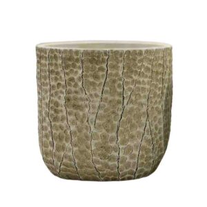 ΚΑΣΠΩ ΜΠΕΖ ΣΤΡΟΓΓΥΛΟ ΧΤΥΠΗΤΟ ΜΕ ΡΩΓΜΕΣ ΜΕΓΑΛΟ