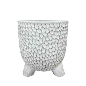 ΚΑΣΠΩ ΛΕΥΚΟ ΣΤΡΟΓΓΥΛΟ ΜΕ ΠΟΔΙΑ ΦΟΛΙΔΩΤΟ ΜΕΓΑΛΟ