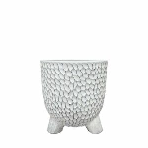 ΚΑΣΠΩ ΛΕΥΚΟ ΣΤΡΟΓΓΥΛΟ ΜΕ ΠΟΔΙΑ ΦΟΛΙΔΩΤΟ ΜΕΣΑΙΟ