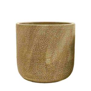 ΚΑΣΠΩ ΧΡΥΣΟ ΣΤΡΟΓΓΥΛΟ ΠΙΤΣΙΛΩΤΟ ΜΕΓΑΛΟ