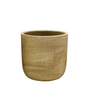 ΚΑΣΠΩ ΧΡΥΣΟ ΣΤΡΟΓΓΥΛΟ ΠΙΤΣΙΛΩΤΟ ΜΕΣΑΙΟ