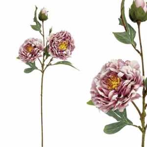 ΚΛΑΔΙ ΠΑΙΩΝΙΑ ΜΠΟΡΝΤΩ/ΛΕΥΚΟ ΠΑΣΤΕΛ - Υ71cm