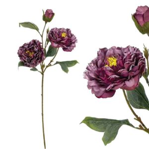 ΚΛΑΔΙ ΠΑΙΩΝΙΑ ΒΥΣΣΙΝΙ ΠΑΣΤΕΛ - Υ71cm