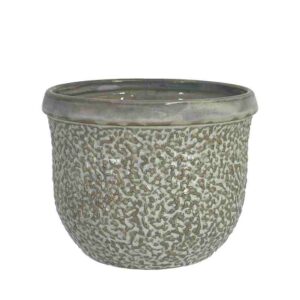 ΚΑΣΠΩ ΣΤΡΟΓΓΥΛΟ ΓΚΡΙ/ΛΑΔΙ ΥΑΛΩΜΕΝΟ ΣΑΓΡΕ ΜΕΓΑΛΟ