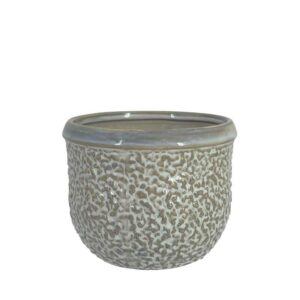 ΚΑΣΠΩ ΣΤΡΟΓΓΥΛΟ ΓΚΡΙ/ΛΑΔΙ ΥΑΛΩΜΕΝΟ ΣΑΓΡΕ ΜΕΣΑΙΟ