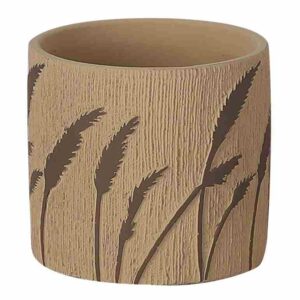 ΚΑΣΠΩ ΣΤΡΟΓΓΥΛΟ ΤΕΡΑΚΟΤΑ/ΚΑΦΕ ΑΝΑΓΛΥΦΑ ΣΤΑΧΥΑ ΜΕΓΑΛΟ