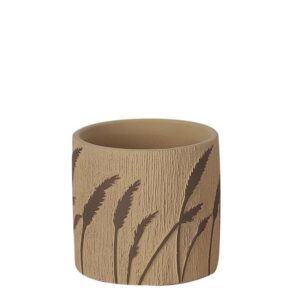 ΚΑΣΠΩ ΣΤΡΟΓΓΥΛΟ ΤΕΡΑΚΟΤΑ/ΚΑΦΕ ΑΝΑΓΛΥΦΑ ΣΤΑΧΥΑ ΜΙΚΡΟ