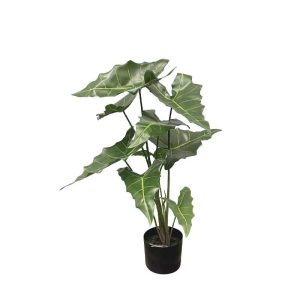 Διακοσμητικό φυτό Αλοκάσια Real Touch 75cm