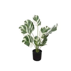Διακοσμητικό φυτό Φυλλόδεντρο Real Touch Bicolor 48cm