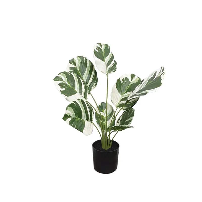 Διακοσμητικό φυτό Φυλλόδεντρο Real Touch Bicolor 48cm