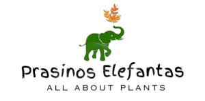 LOGO ELEFANTA DIAFANO